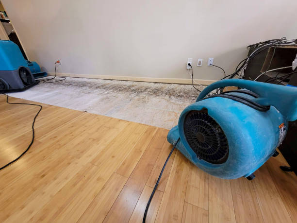 Reliable Basement Flood Cleanup contractor in Dalton, OH by Hirex Water Damage