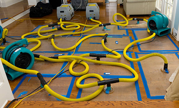 Professional Basement Flood Cleanup technician working in Dalton, OH